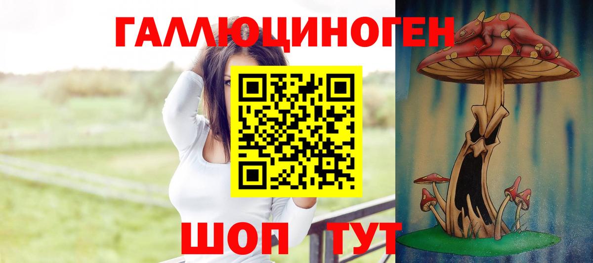 Псилоцибиновые грибы Psilocybine cubensis  Галлюциногенные грибы ЛСД  Вход с VPN  Павлово 