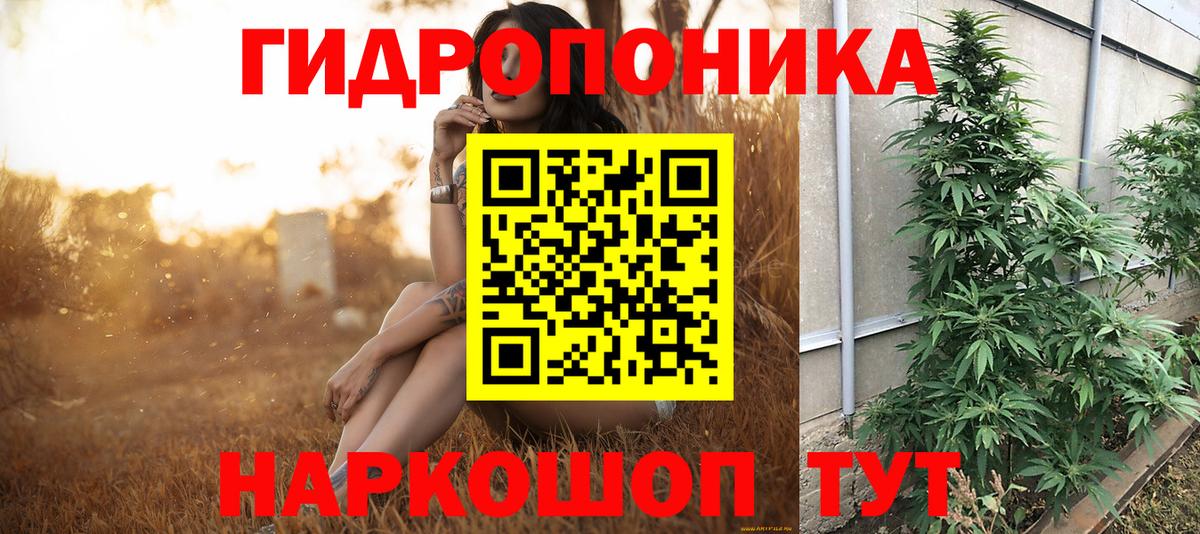 Бошки марихуана конопля  Каннабис Bruce Banner  Конопля планчик  Вход с VPN  Павлово  Бошки марихуана VHQ 
